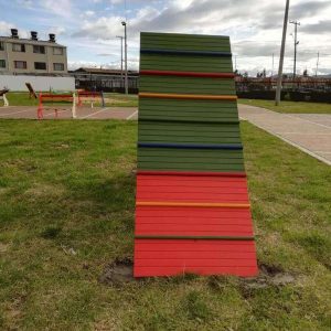 Pista de Obstáculos para Perros • Agility Canino en Plástico