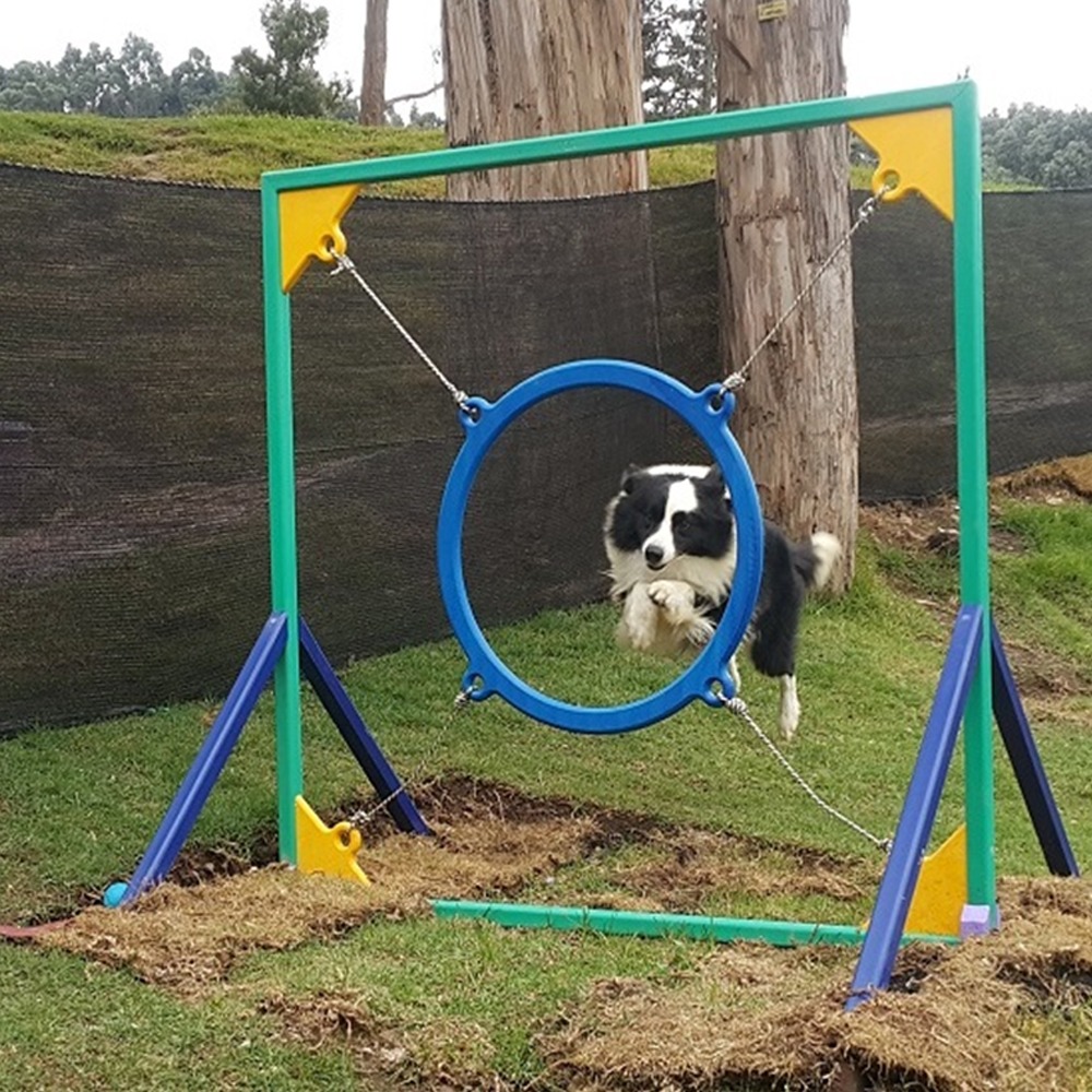 Parque agility para perros. Circuitos caninos