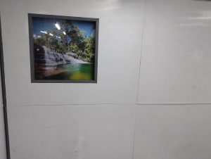 Pared y piso para campamento en polipropileno Maderplast, módulo blanco con panel decorativo de paisaje natural y alta resistencia para alojamientos industriales y temporales.